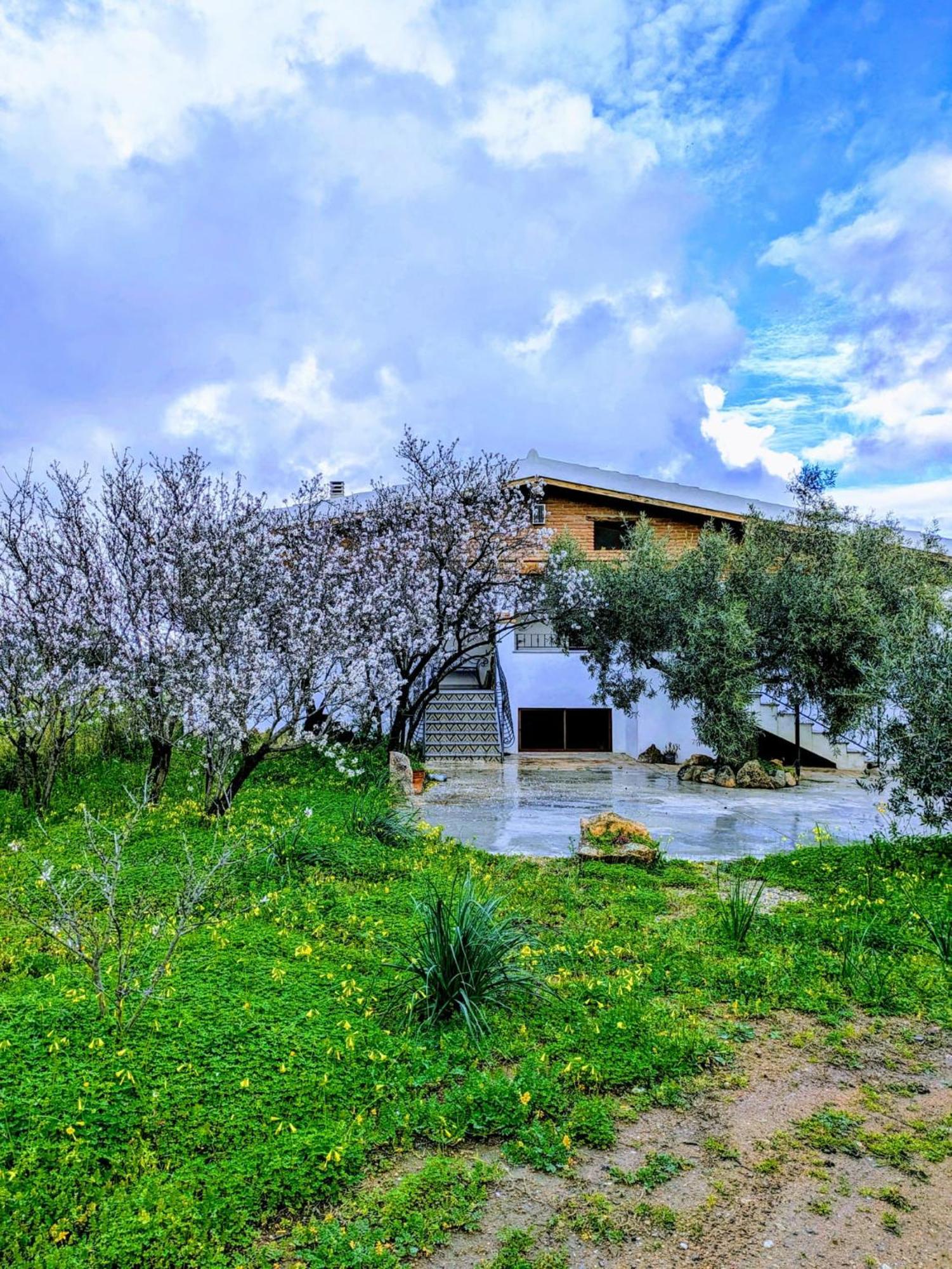 Agriturismo "Pirastreri" Синискола Экстерьер фото