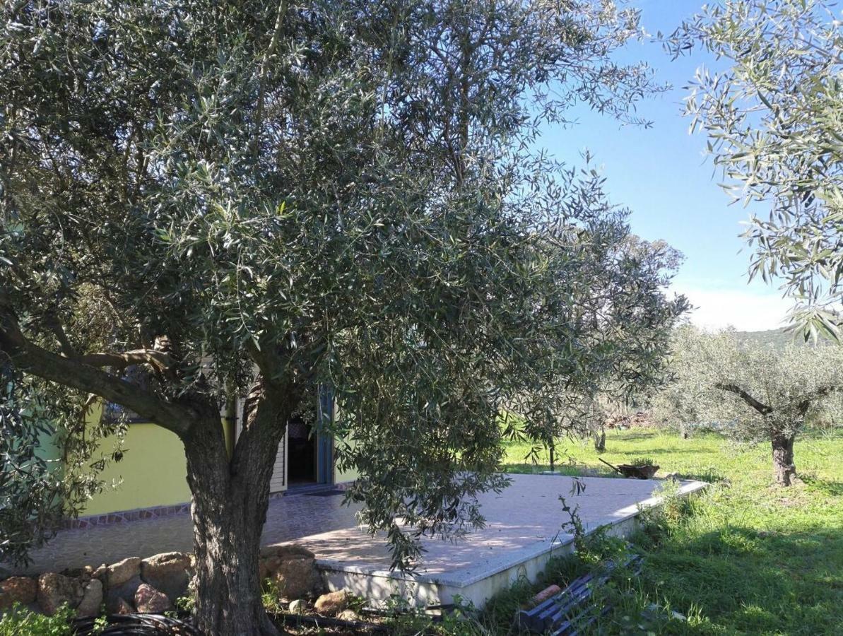 Agriturismo "Pirastreri" Синискола Экстерьер фото